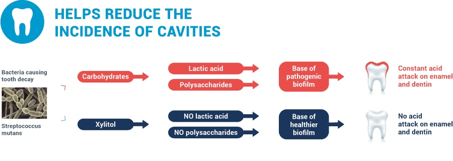 Xylitol helps reduce the incidence of cavities